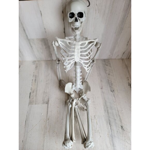 Halloween hanging skeleton‎ prop home decor bone rib cage - Picture 1 of 12